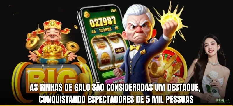 Imagem promocional do programa VIP da 556brl